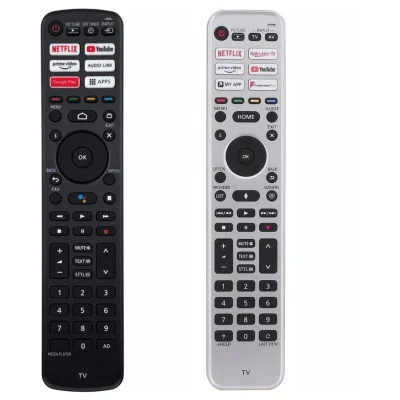 General PANASONIC N2QBYA000049 - náhradní dálkový ovladač rádiový (BT)